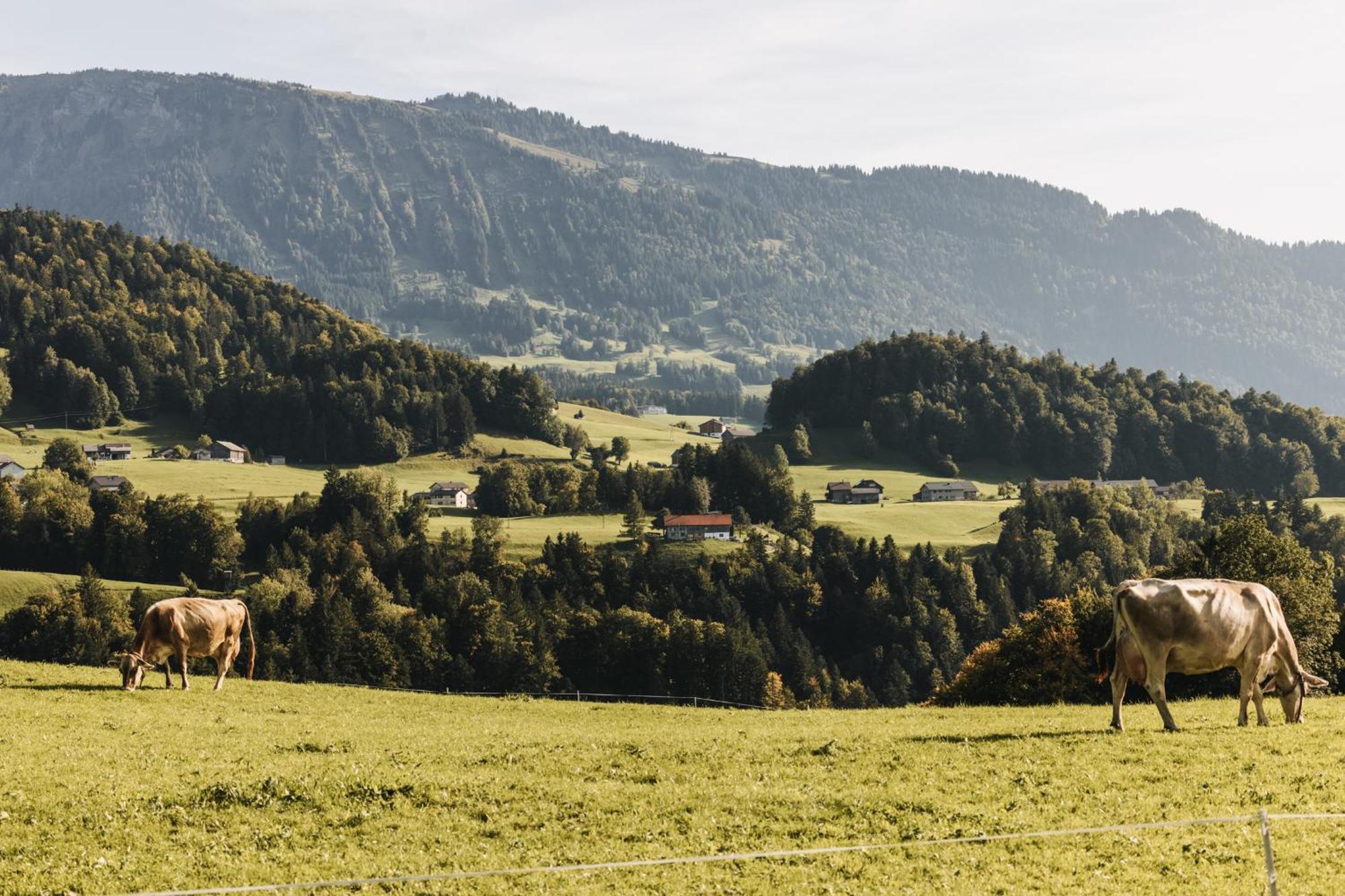 Hotel Gasthof Waelderhof Lingenau Luaran gambar