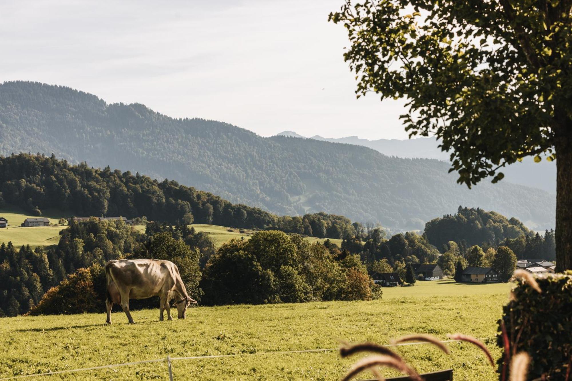 Hotel Gasthof Waelderhof Lingenau Luaran gambar